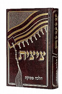 ציצית הרב צבי כהן ציצית הרב צבי כהן