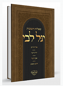 ��� ���� ����� ������� 